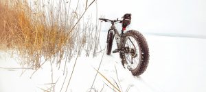 co to jest fatbike